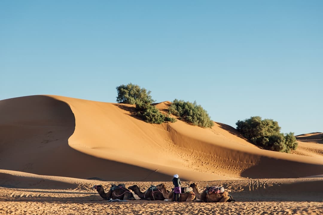 Experiência de viagem autêntica em uma vila ensolarada